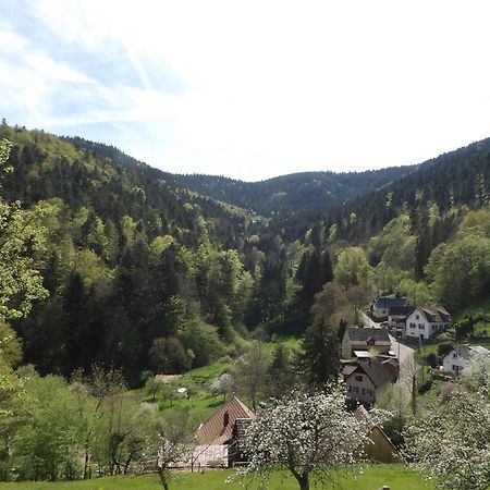 Studio A Murbach Au Calme ภายนอก รูปภาพ