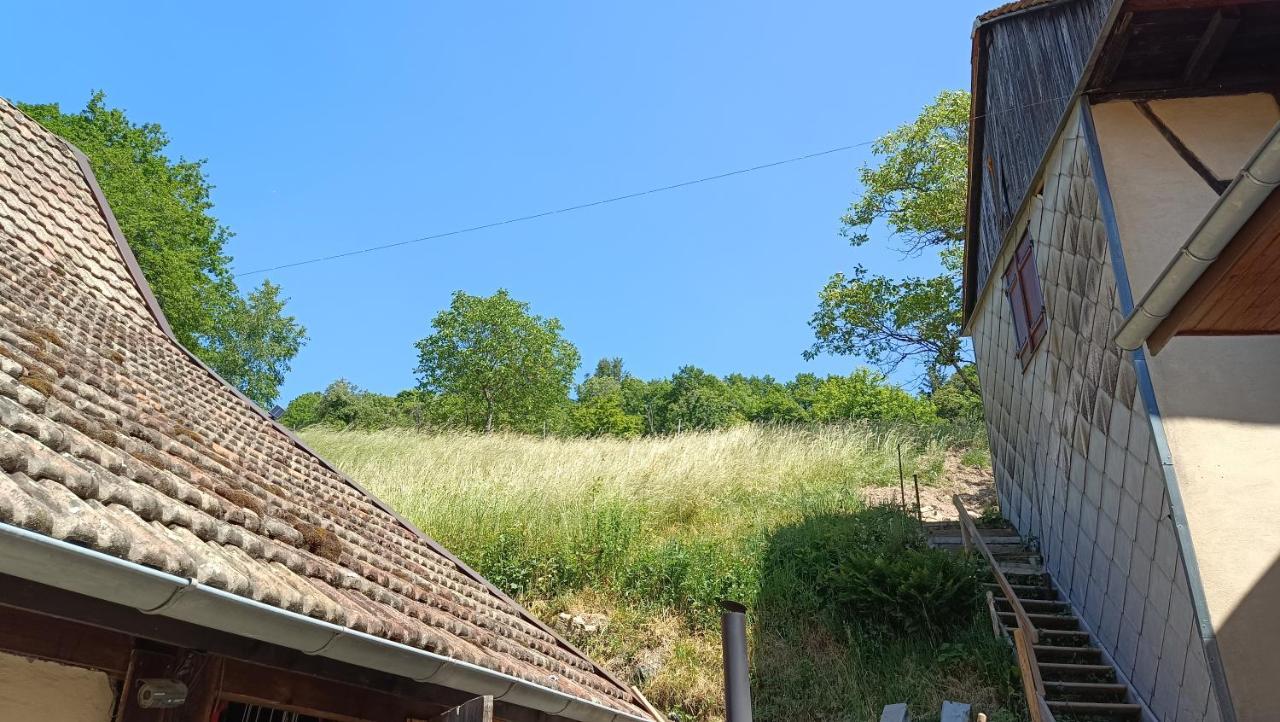 Studio A Murbach Au Calme ภายนอก รูปภาพ