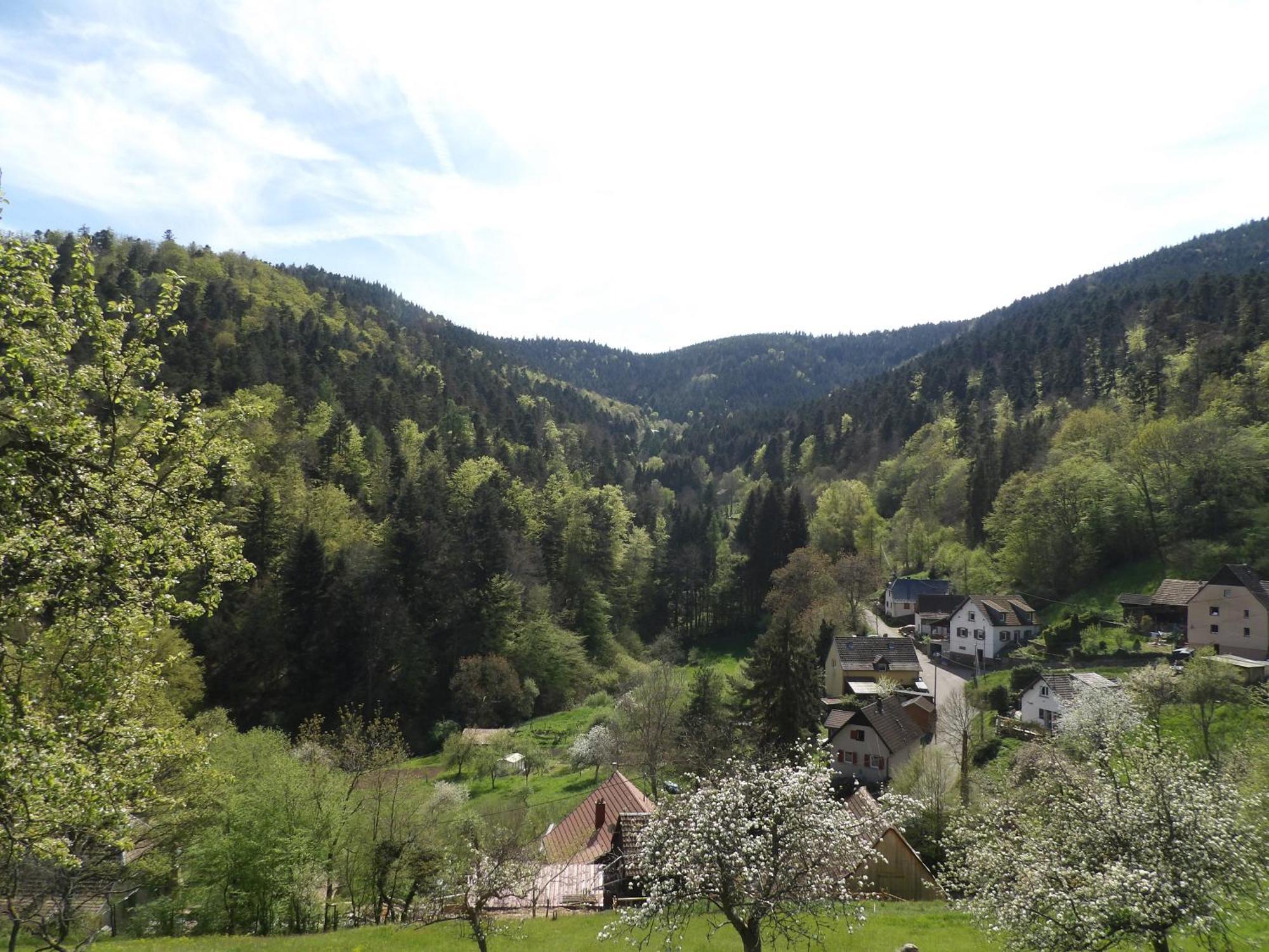 Studio A Murbach Au Calme ภายนอก รูปภาพ